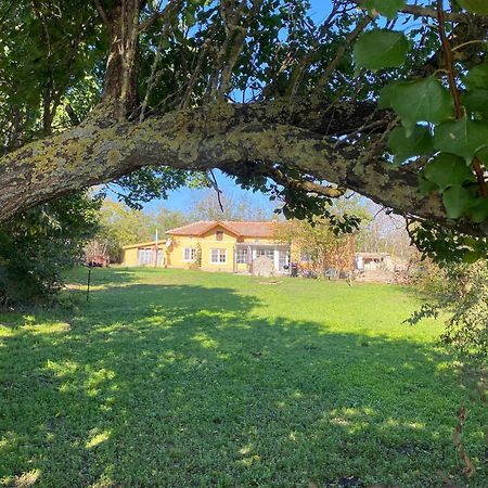 Ferienhaus Primorska Sunshine In Strandnaehe Shabla Luaran gambar