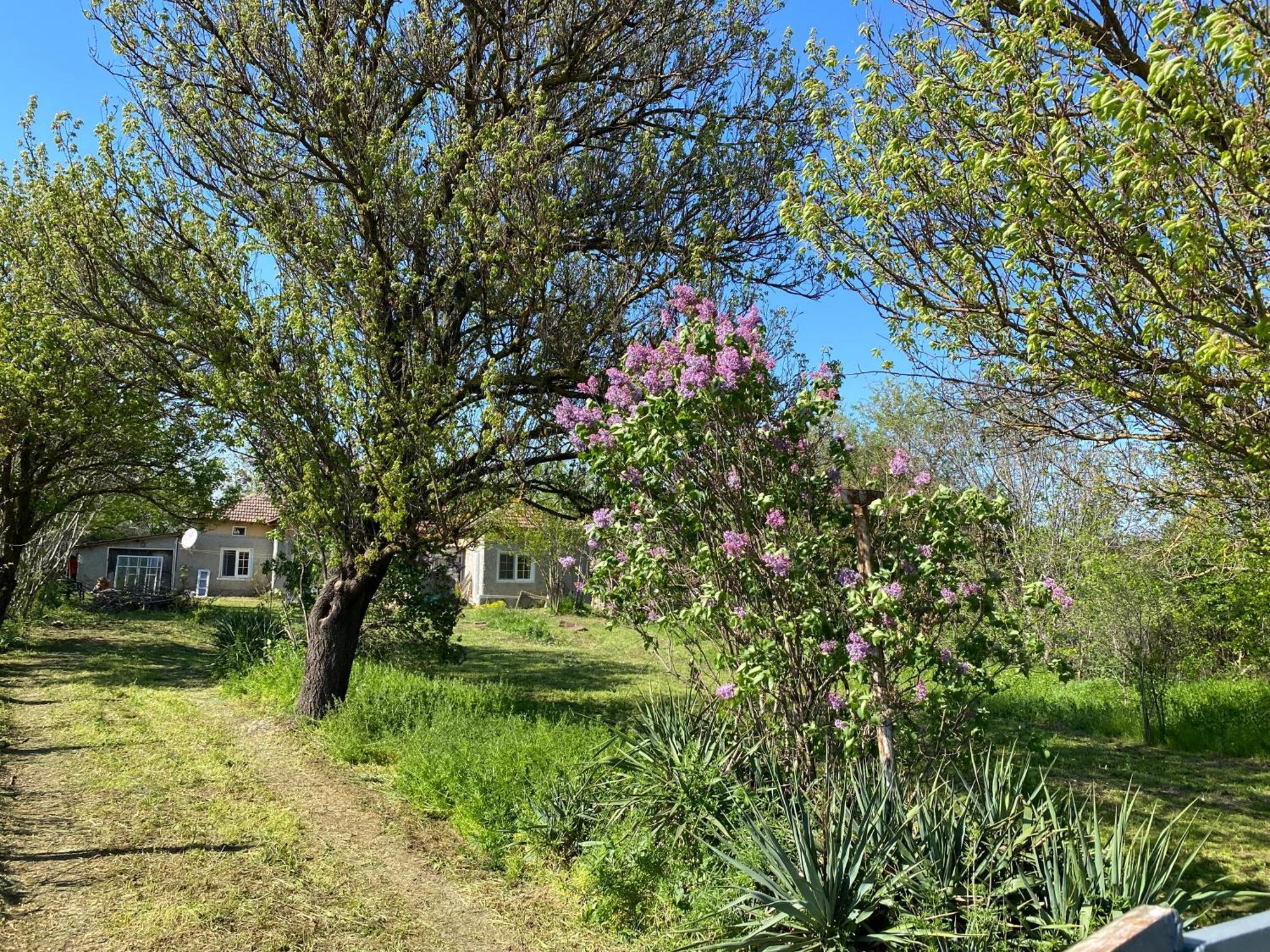 Ferienhaus Primorska Sunshine In Strandnaehe Shabla Luaran gambar