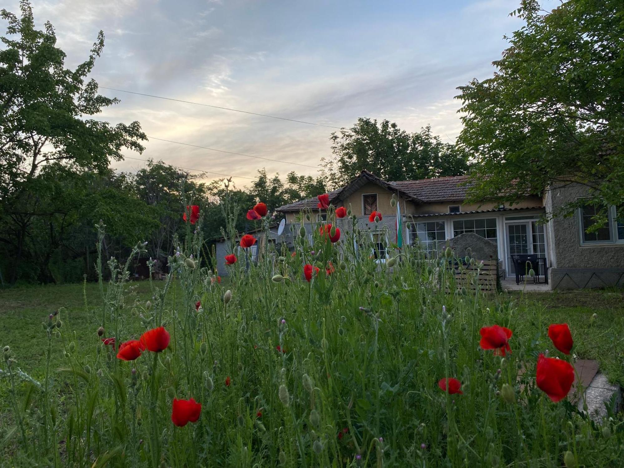 Ferienhaus Primorska Sunshine In Strandnaehe Shabla Luaran gambar